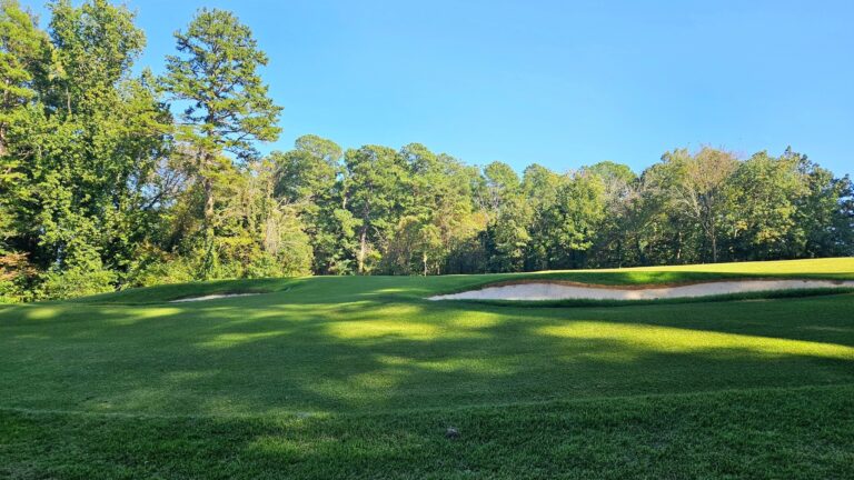 DAVIDSON COUNTY COURSES