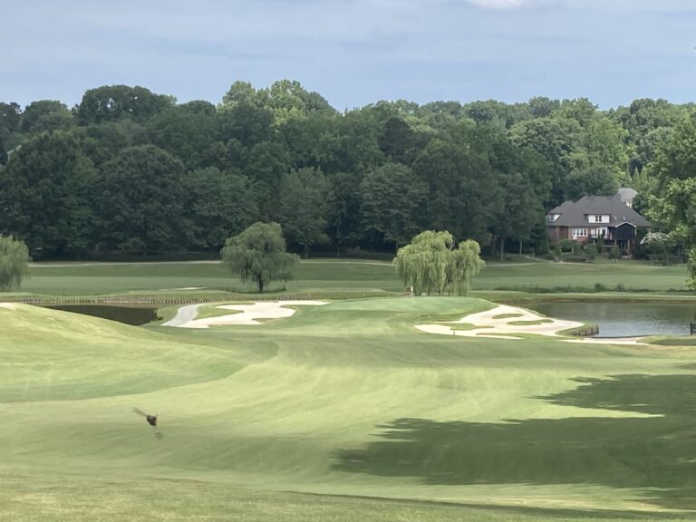 The Cardinal to host 2025 N.C. Amateur
