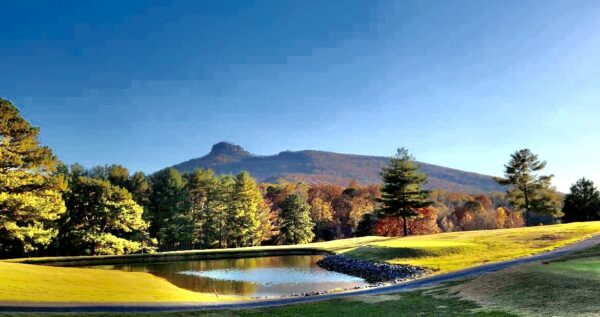 pilot knob main