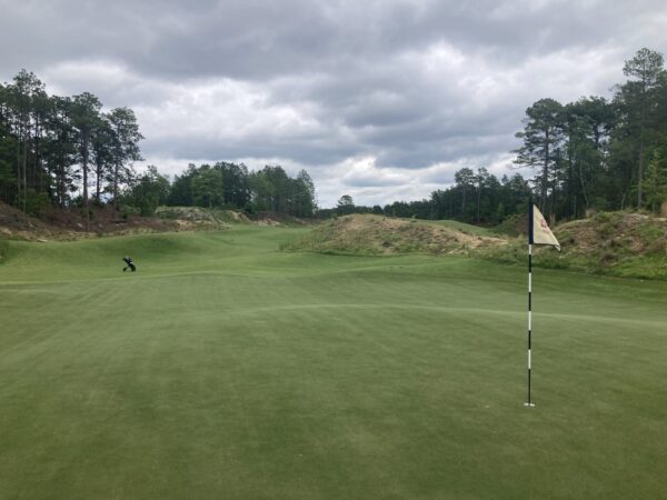 pinehurst 10