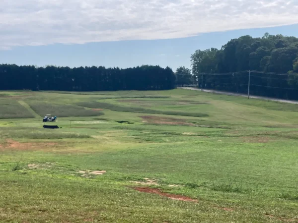 old field