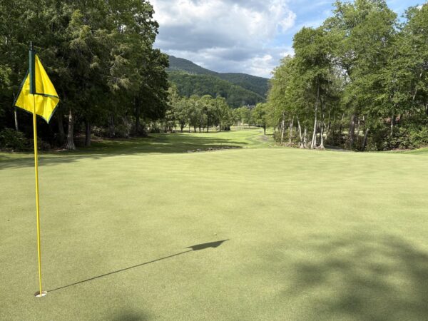 Elk River No. 9 green