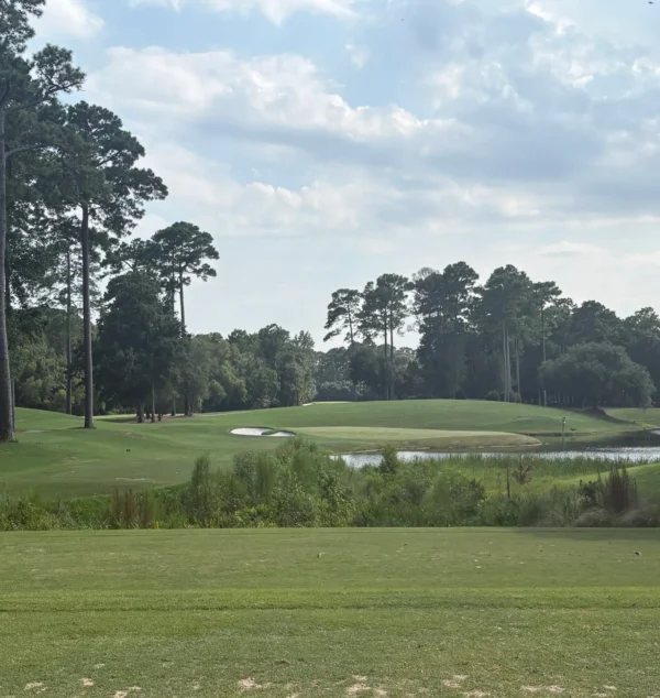 TPC MB 17
