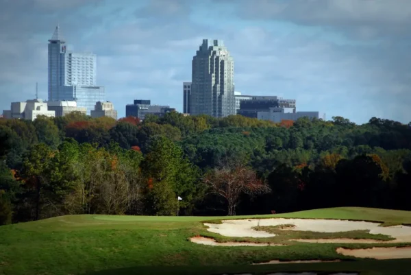 Lonnie Skyline