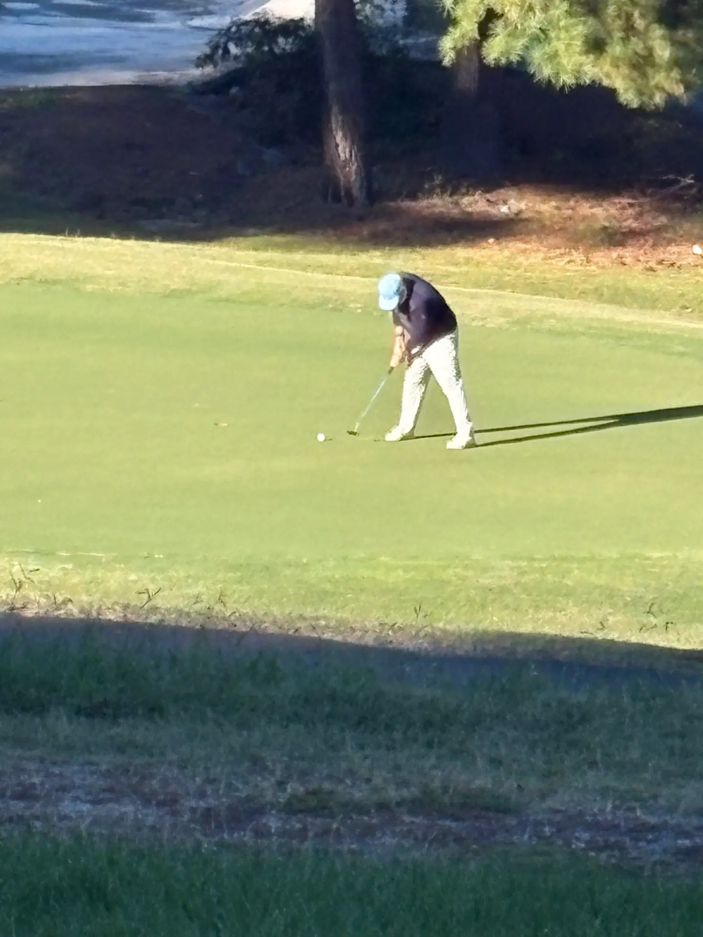 Rust Triad Forsyth team wins Barbecue Festival Tournament - Triad Golf Magazine